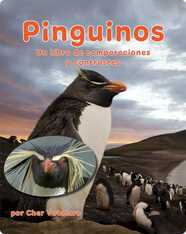 Pingüinos: Un libro de comparaciones y contrastes