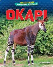 Okapi