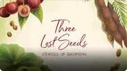 Three Lost Seeds
