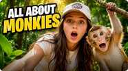 All About Monkeys: Wild Facts for Kids