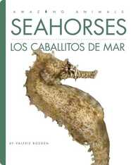 Seahorses / Los caballitos de mar