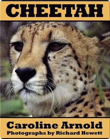 Cheetah book