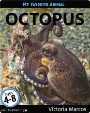 My Favorite Animal: Octopus