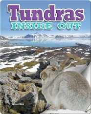 Tundras Inside Out