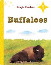 Magic Readers: Buffaloes book