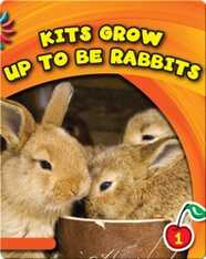 Kits Grow Up To Be Rabbits