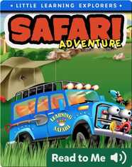 Safari Adventure