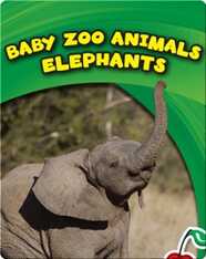 Baby Zoo Animals: Elephants