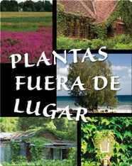 Plantas fuera de lugar