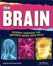 The Brain: Journey Through the Universe Inside Your Head