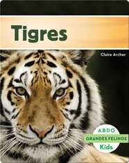 Tigres