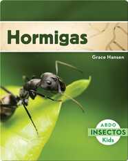 Hormigas