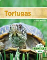 Tortugas