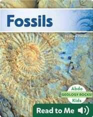 Fossils