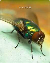 Flies book
