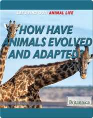 How Have Animals Evolved and Adapted?