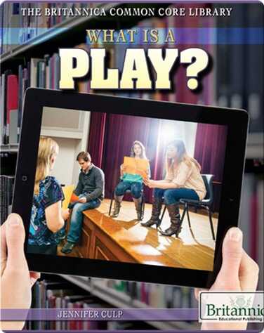 What Is a Play? book