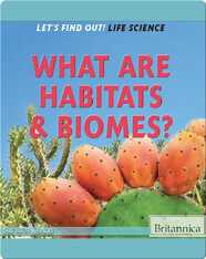 What Are Habitats & Biomes?