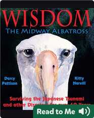 Wisdom, the Midway Albatross