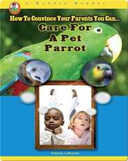 Care for a Pet Parrot