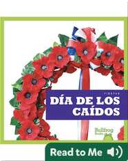 Fiestas: Día de los Caídos