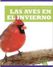 Las Aves en el Invierno (¿Qué Pasa en el Invierno?)