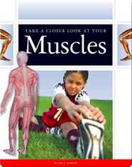 Take a Closer Look at Your Muscles