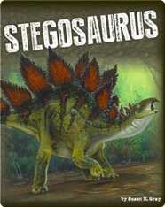 Stegosaurus