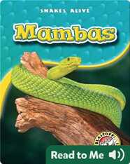 Mambas