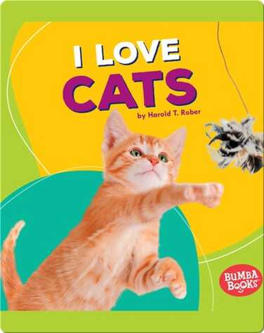I Love Cats book