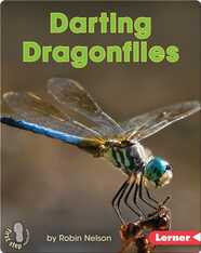Darting Dragonflies