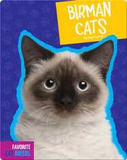 Birman Cats