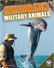 Remarkable Military Animals