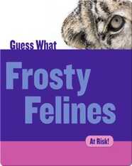 Frosty Felines