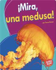 ¡Mira, una medusa! (Look, a Jellyfish!)