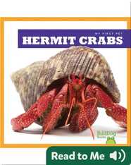 My First Pet: Hermit Crabs