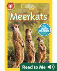 National Geographic Readers: Meerkats