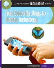 From Butterfly Wings to Display Technology