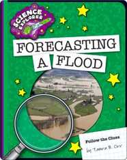 Forecasting a Flood