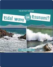 Tidal Wave or Tsunami?