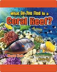What Do You Find in a Coral Reef?