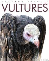 Vultures