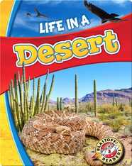 Biomes Alive!: Life in a Desert