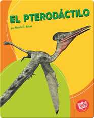 El pterodáctilo (Pterodactyl)