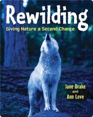 Rewilding: Giving Nature a Second Chance