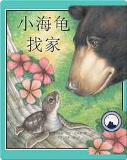 小海龟找家