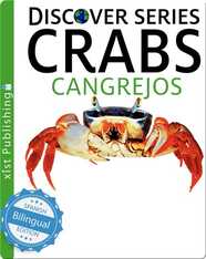 Crabs / Cangrejos