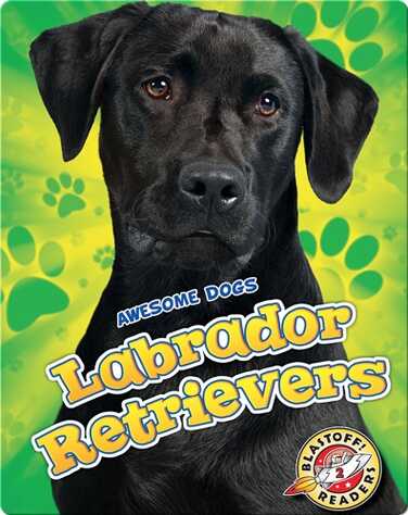 Awesome Dogs: Labrador Retrievers book