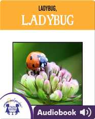 Ladybug, Ladybug