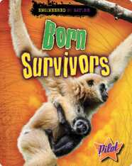Born Survivors